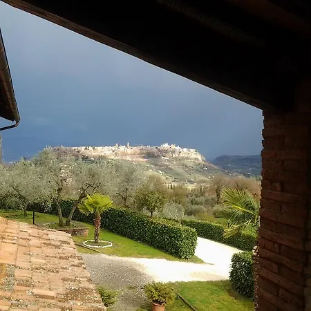 Il Voltabotte *